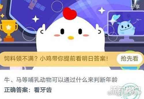 牛马等哺乳动物可以通过什么来判断年龄蚂蚁庄园
