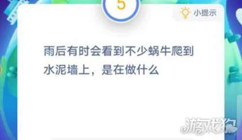 雨后会有不少蜗牛爬到水泥墙上是在做什么