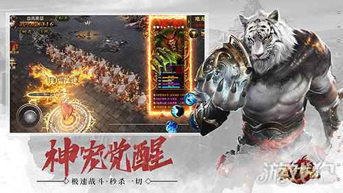 武圣屠龙神宠进化 无限石化横扫BOSS