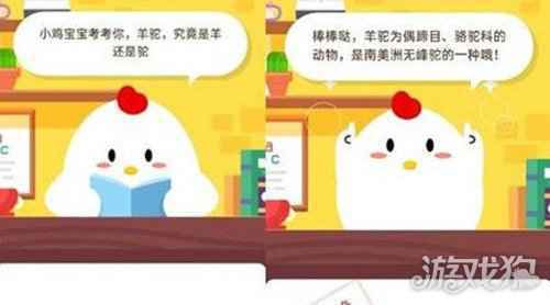羊驼究竟是羊还是驼 蚂蚁庄园11月6日答案