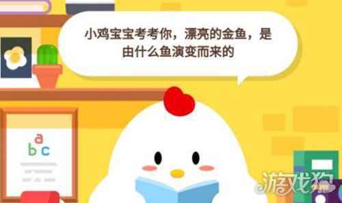 金鱼是什么鱼演变来的蚂蚁庄园 蚂蚁庄园最新答案