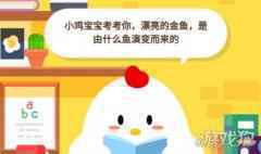 金鱼是什么鱼演变来的蚂蚁庄园 蚂蚁庄园最新答案