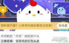 丹顶鹤的丹顶指的是什么蚂蚁庄园今日答案