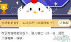 在没有食物的情况下鱼儿嘴巴一张一合是在干什么