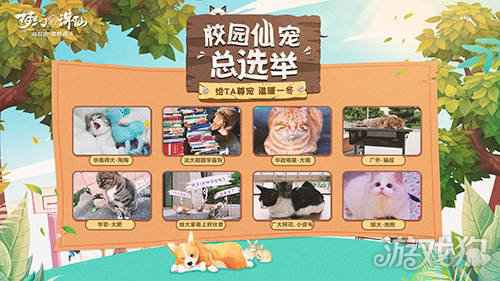 萌宠才是可爱标配 梦幻新诛仙校园仙宠合集
