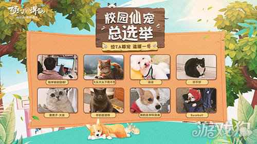 萌宠才是可爱标配 梦幻新诛仙校园仙宠合集