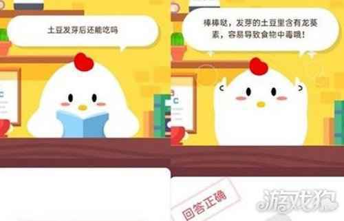 土豆发芽后还能吃吗 蚂蚁庄园11月13日答案