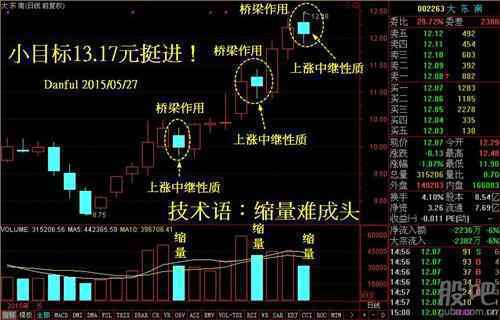 大东南(002263)个股分析