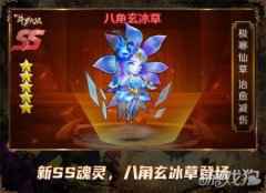 极寒仙草治愈减伤 新斗罗大陆全新SS魂灵八角玄冰草攻略