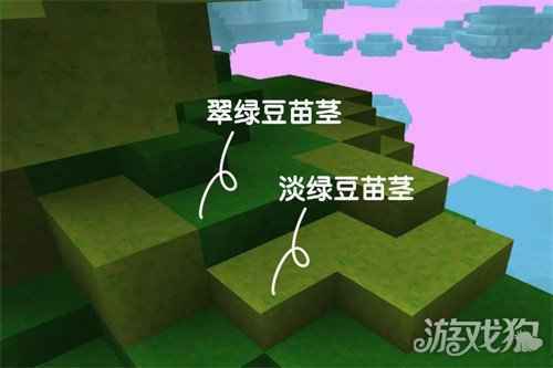 冬天来了 手工星球保持四季常青的秘密居然是