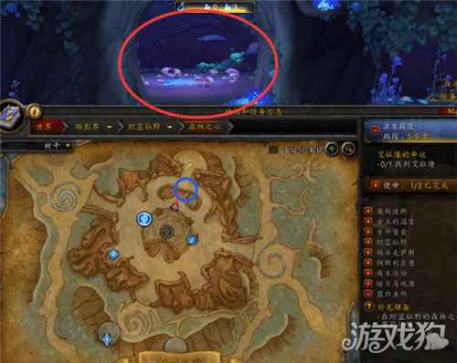 魔兽世界法夜盟约虎形态解锁攻略