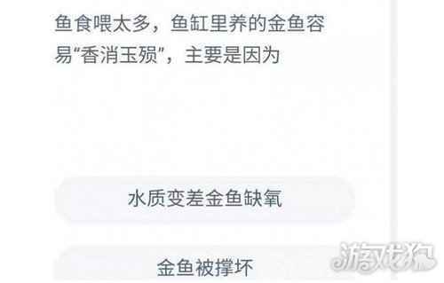 鱼食喂太多鱼缸里养的金鱼容易香消玉殒主要是因为