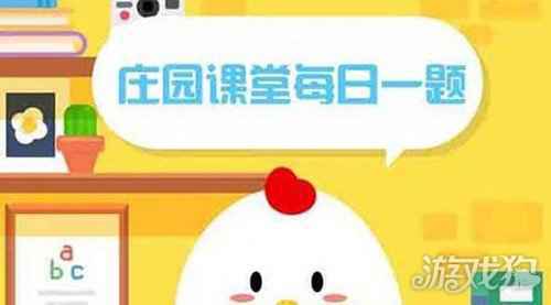 过年开车出门时不宜食用以下哪种食物