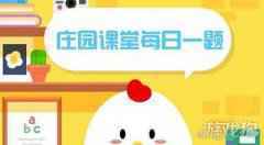 过年开车出门时不宜食用以下哪种食物