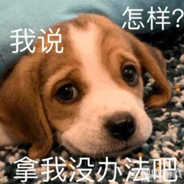 微信牛年红包封面免费领取方法 牛年封面红包让你牛满一整年_7 微信牛年红包封面免费领取 微信红包封面限时领取