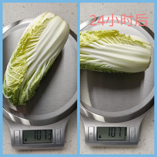 实用还是噱头?给冰箱配备大屏的云米5G大屏冰箱实际表现如何?