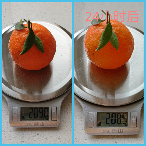 实用还是噱头?给冰箱配备大屏的云米5G大屏冰箱实际表现如何?