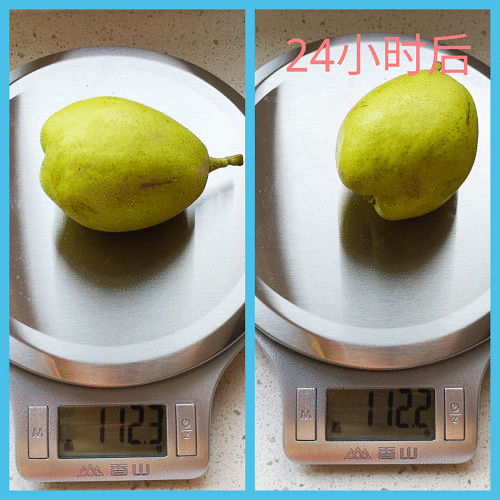 实用还是噱头?给冰箱配备大屏的云米5G大屏冰箱实际表现如何?