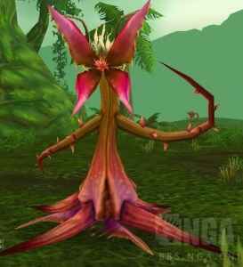 wow安戈洛狂欢节活动奖励_魔兽世界2017安戈洛狂欢节活动攻略
