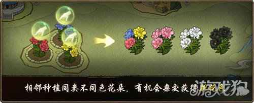花开时节动京城 神都夜行录全新SSR妖灵洛神踏浪而来