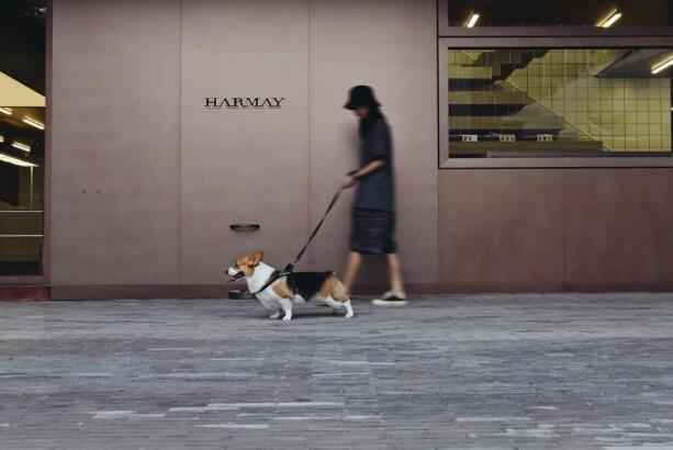 蔚督昢#63524;#63541;汜魂ㄛHARMAY ?繩#63501;珨#63