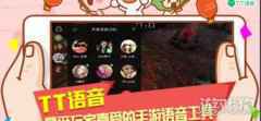 tt语音可以设置隐身吗