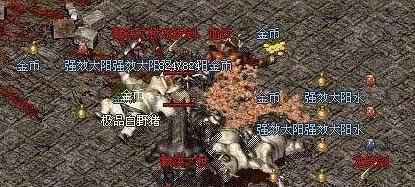《无忧传奇》中热度高且福利多的散人地图