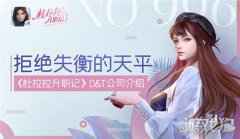 拒绝失衡的天平 杜拉拉升职记DT公司介绍