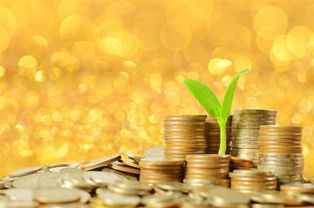 k线学习 洛阳配资公司有哪些公司比较有实力?