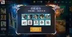 对面五条狗？男人的快乐就是这么简单，当一款