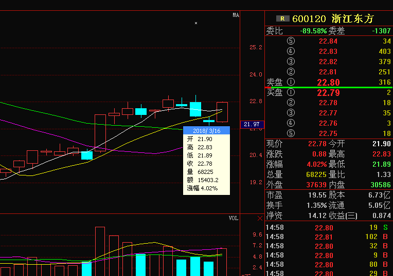 浙江东方(600120)资金流向